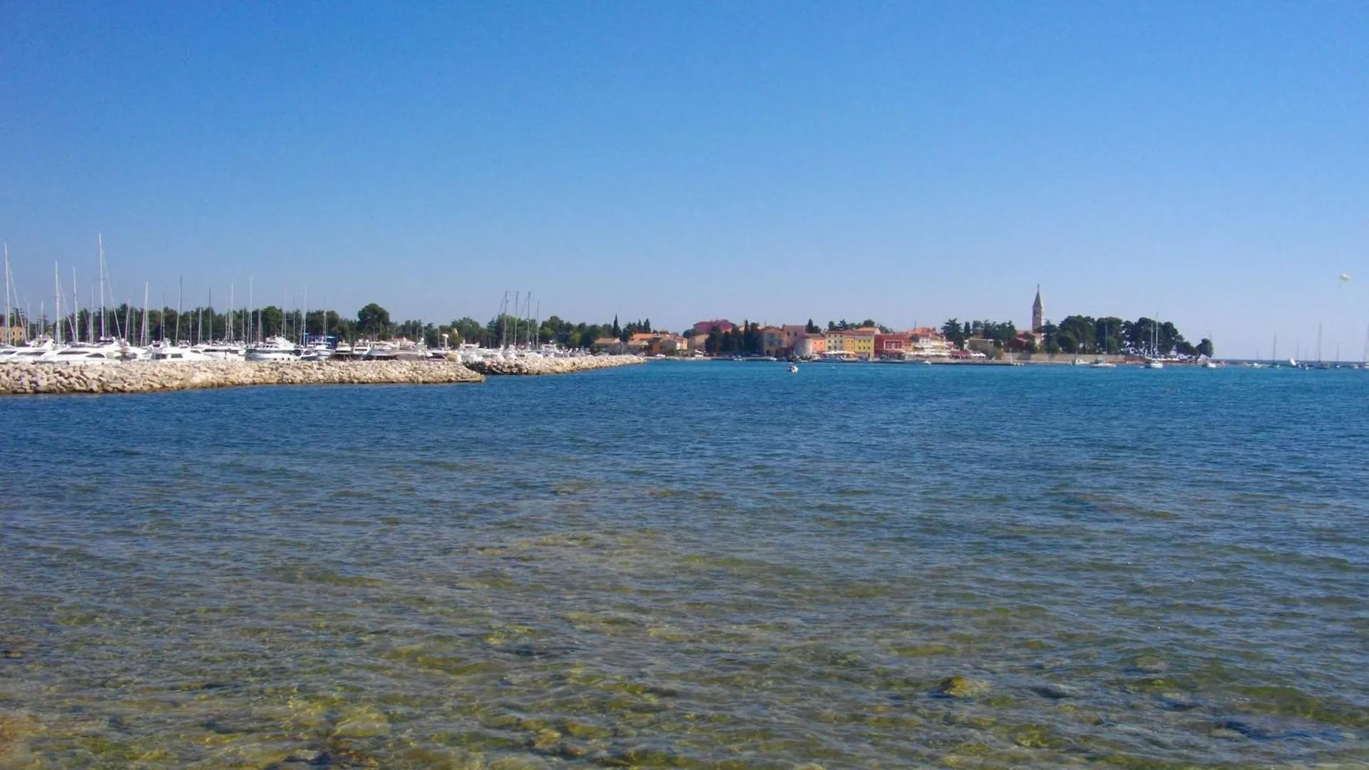 Apartment Novigrad 1 Karpinjan